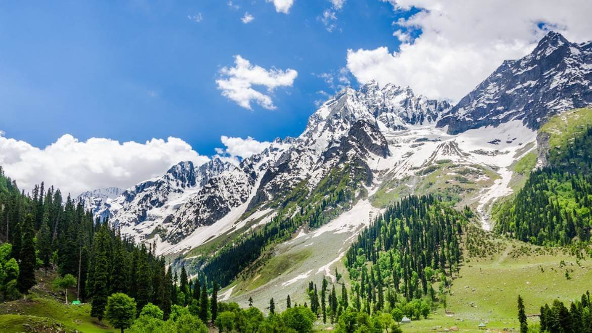Best Hill Stations in India for a Cool Summer Vacation